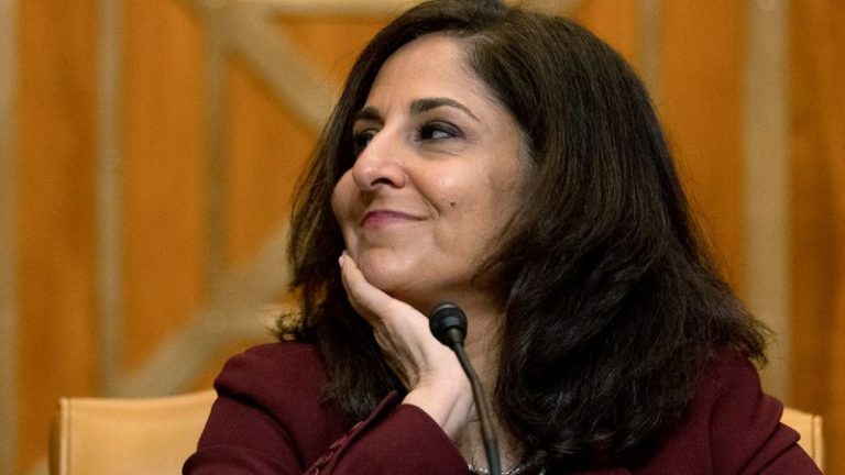 Liberal think tank’s deep ties to Biden admin, far-left policies could come back to haunt Harris campaign