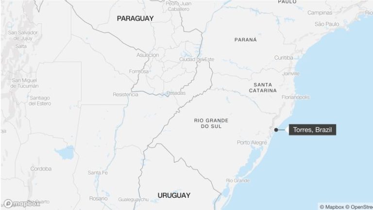 Three women die after eating Christmas cake in suspected poisoning in Brazil