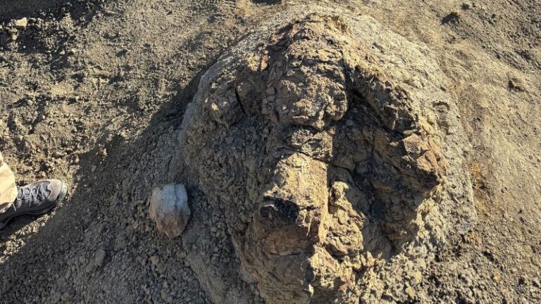 A high school teacher stumbled across two giant footprints — and marked a first for science